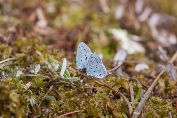 Держись за мной, не отставай!