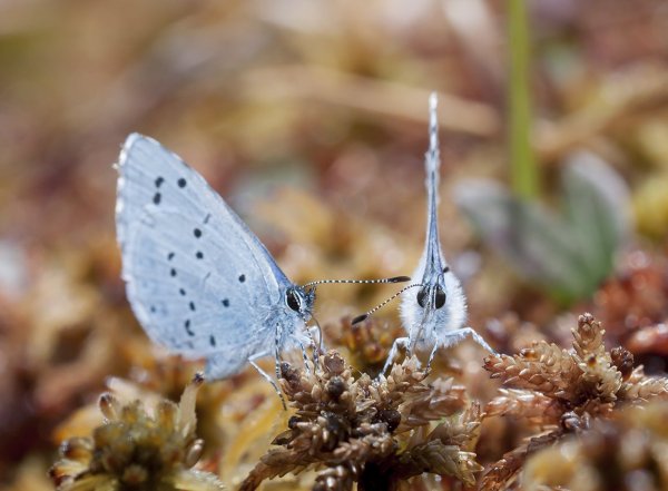 А где вода вкуснее?