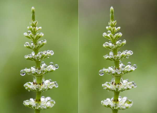 Дождливым днём