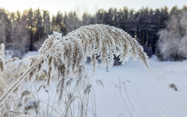 Подморозило