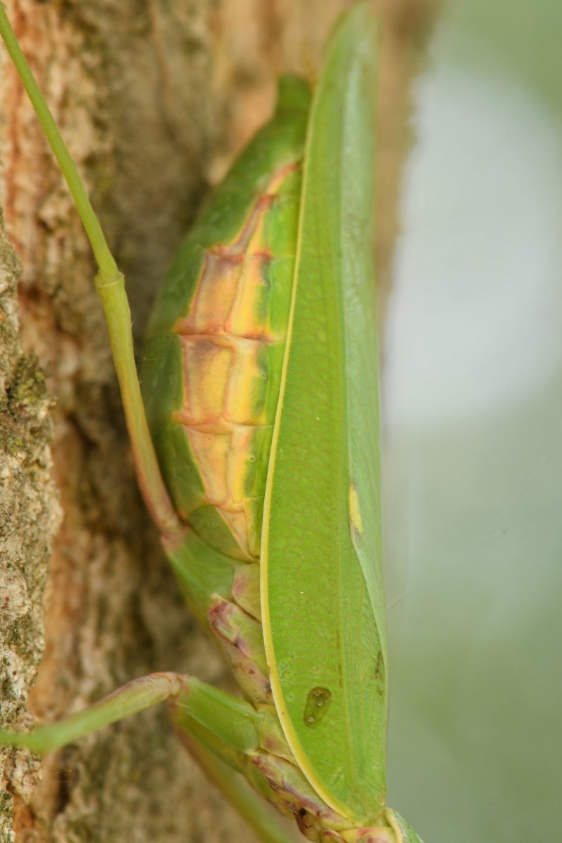DSC_6796.JPG