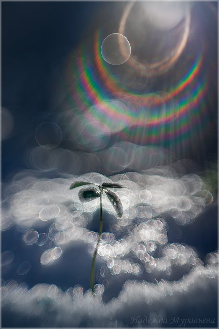 large._MG_34702.jpg.5b07e3b66c8c910e141f