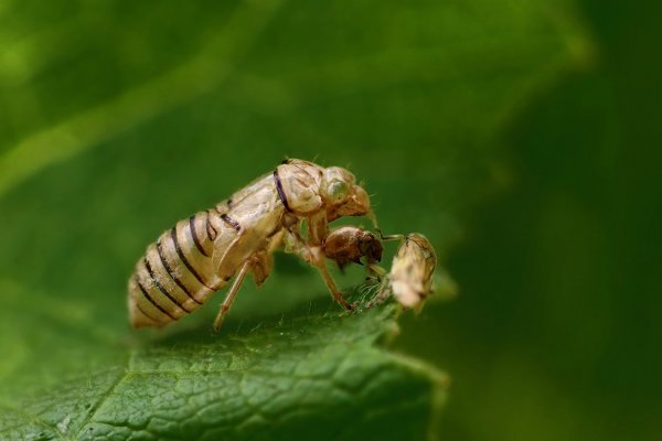 IMG_9305 Чей пиджачек? Мне однако великоват будет