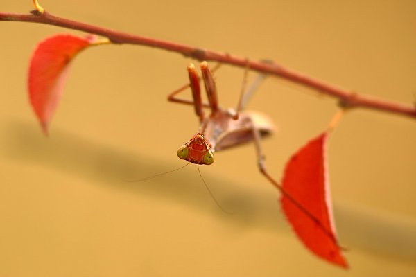 Signs of autumn