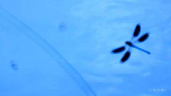 Art photography