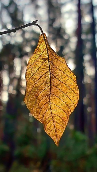 Вот и лето прошло ...