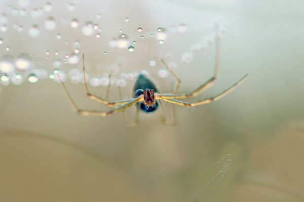 IMG_8020 Взгляд!