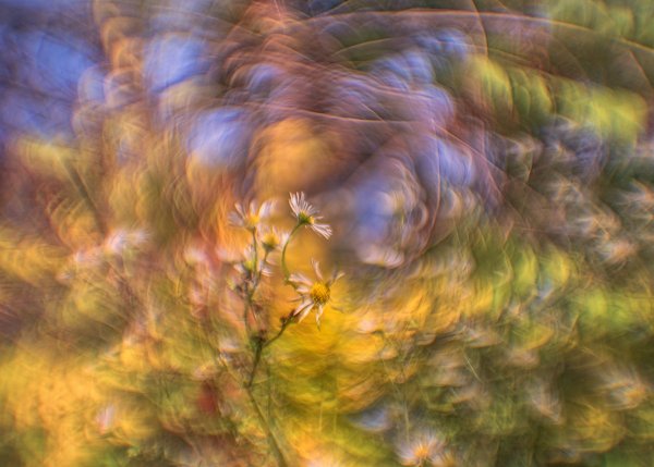 Art photography