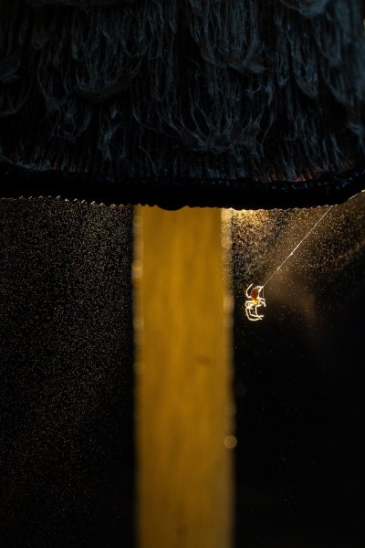 Курящая дама и сбежавший кавалер