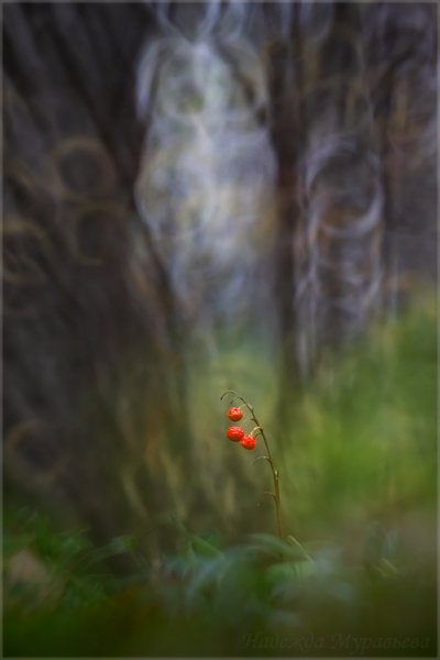 Genre photography