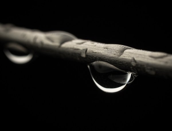 "Слёзы дождя"