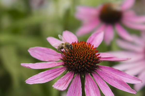 просто красивое