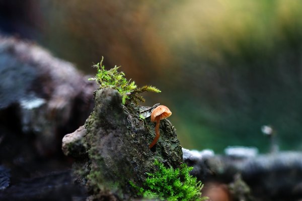 2025-11 Кажется буря надвигается! СтрААшно одному!