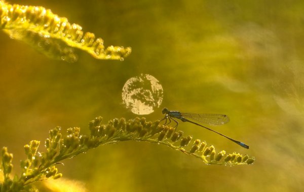 Для настроения