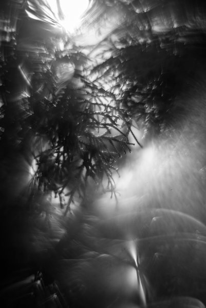 Пробивается свет