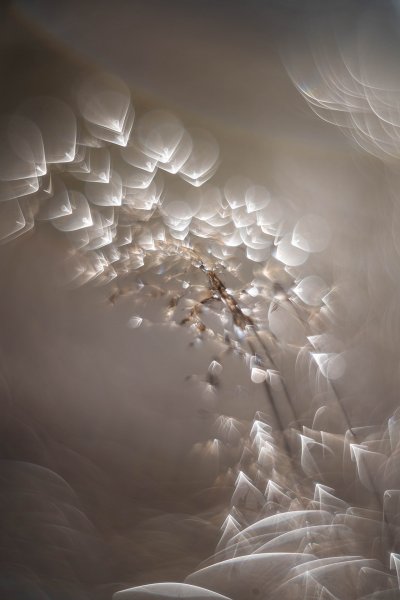 Осенние алмазы