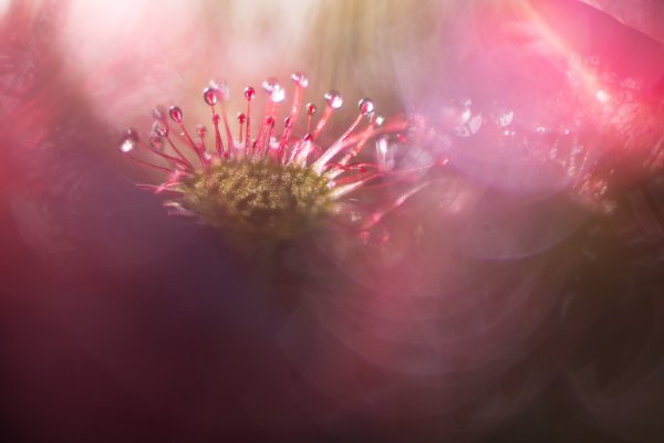 Напоминание о лете