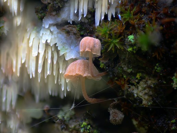 IMG_0505 Пещерные жители