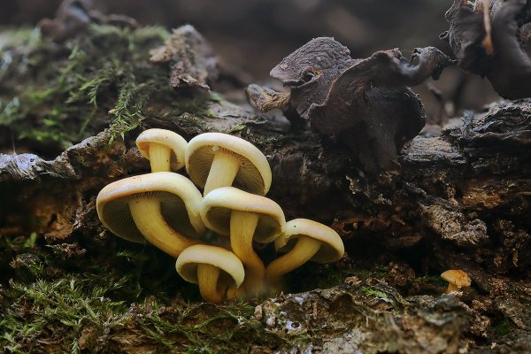 IMG_0666 Смена поколений