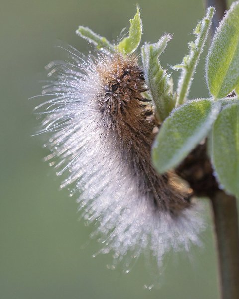 Как спастись от этой сырости?!