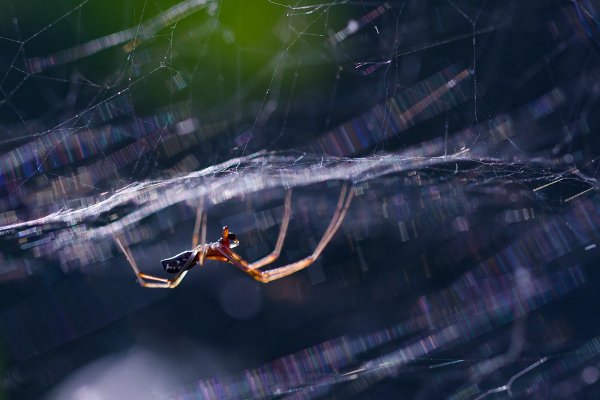 Свет в крошечном мире