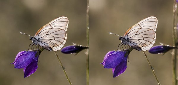 Пора в полёт