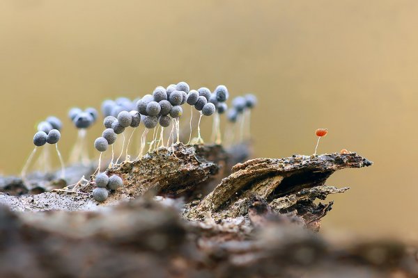 IMG_2585 По морям, по волнам - нынче здесь, завтра там!