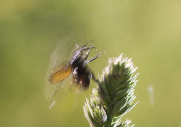 Лётное происшествие