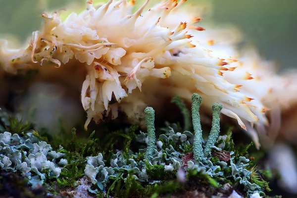 IMG_3707 Цунами !