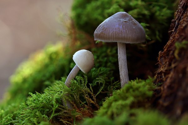 IMG_4747 Рядом с мамой всегда хорошо и надежно!