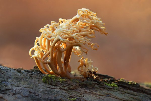 IMG_4777 Какой большой ветер напал на наш остров. А ты сидишь хмурый и никакой силой  тебя не сдвинуть с места