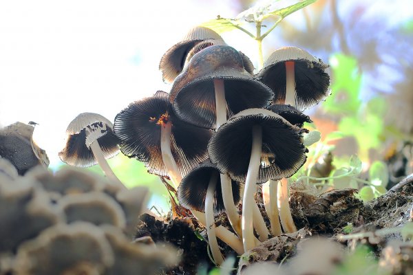 IMG_9449 Игра в Шпионов и пограниников