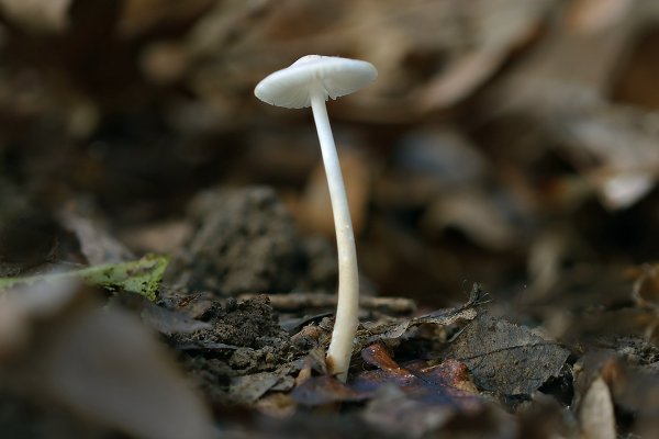 IMG_9616 Вокруг непролазная грязюка, и тут я - весь в белом