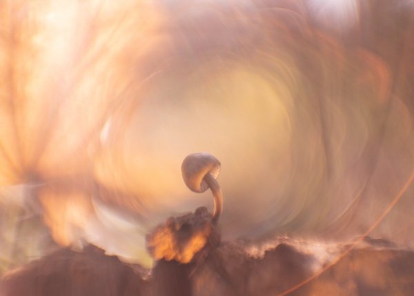 Тёплая осень