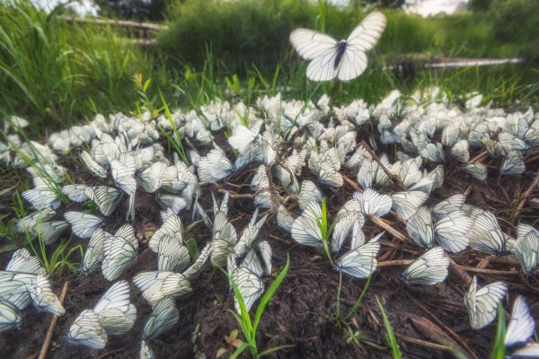 Осколки света