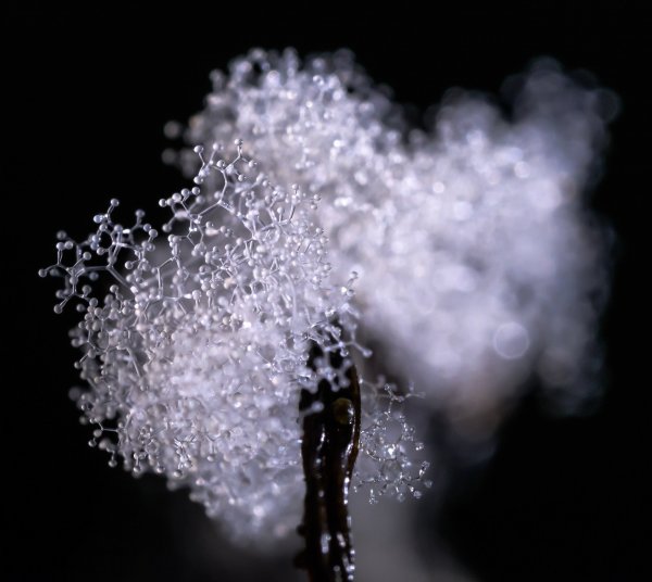 Молекулярная модель