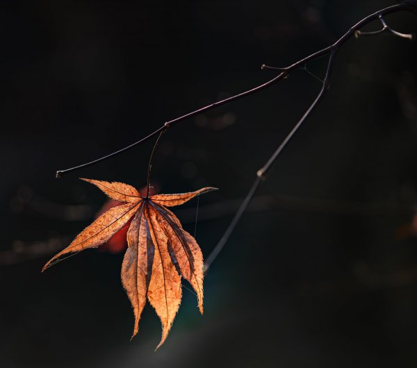 Позолоти ручку