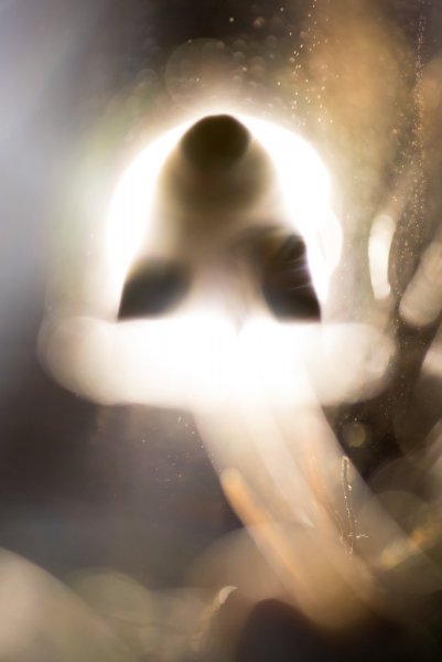 Эксперимент