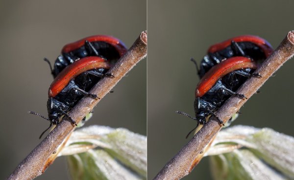 Такое близкое знакомство