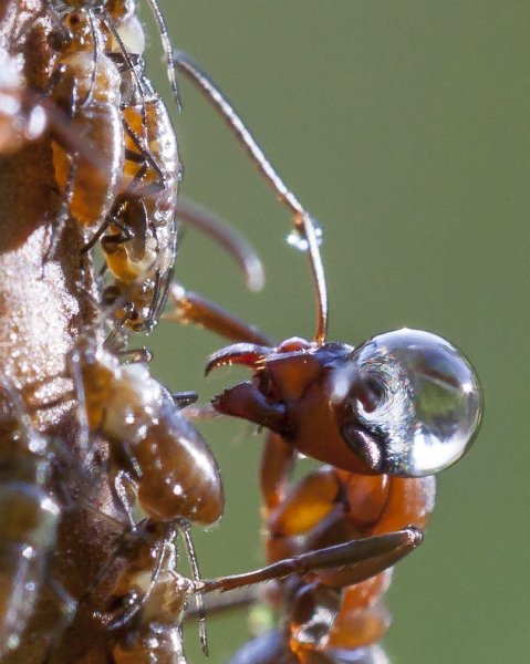 Вскружило голову