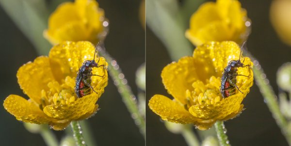 Надеюсь, дождя сегодня не будет?