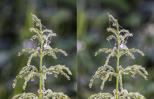 С наступающим Новым годом!