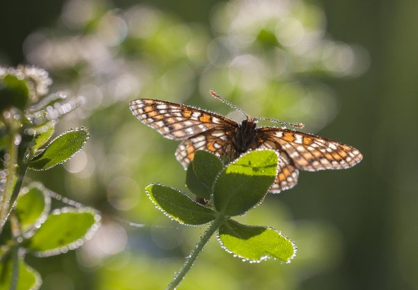 Сушить паруса!