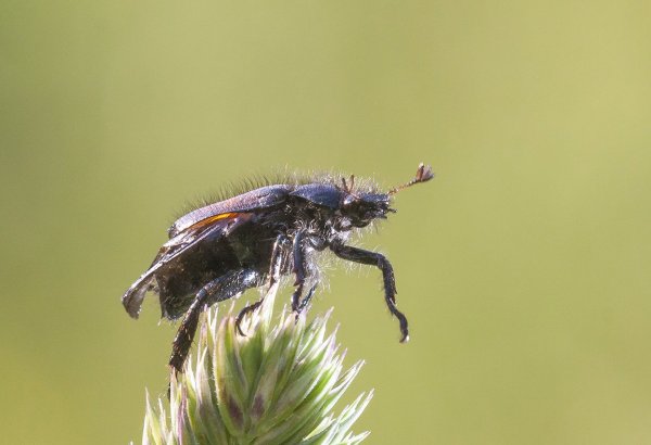 Не мешайте мне, я спешу!