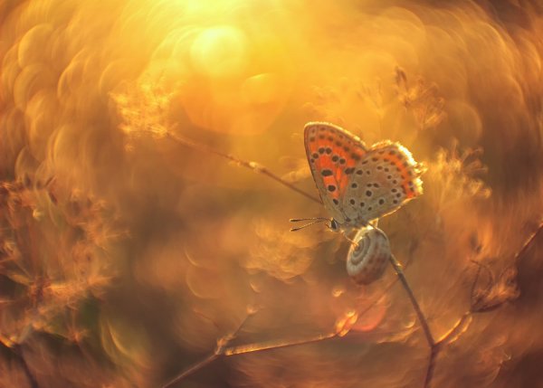 Тихий вечер