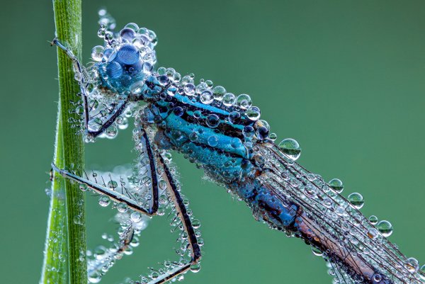 Прохладное утро.