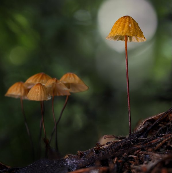 Отделился! Лето.