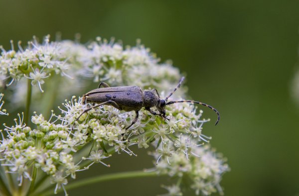 Обеденный перерыв