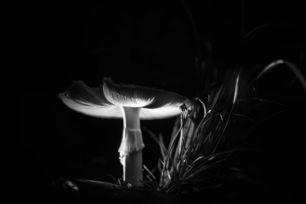 Актёр чб кино