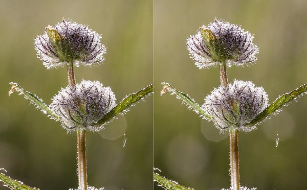 Россыпь алмазов